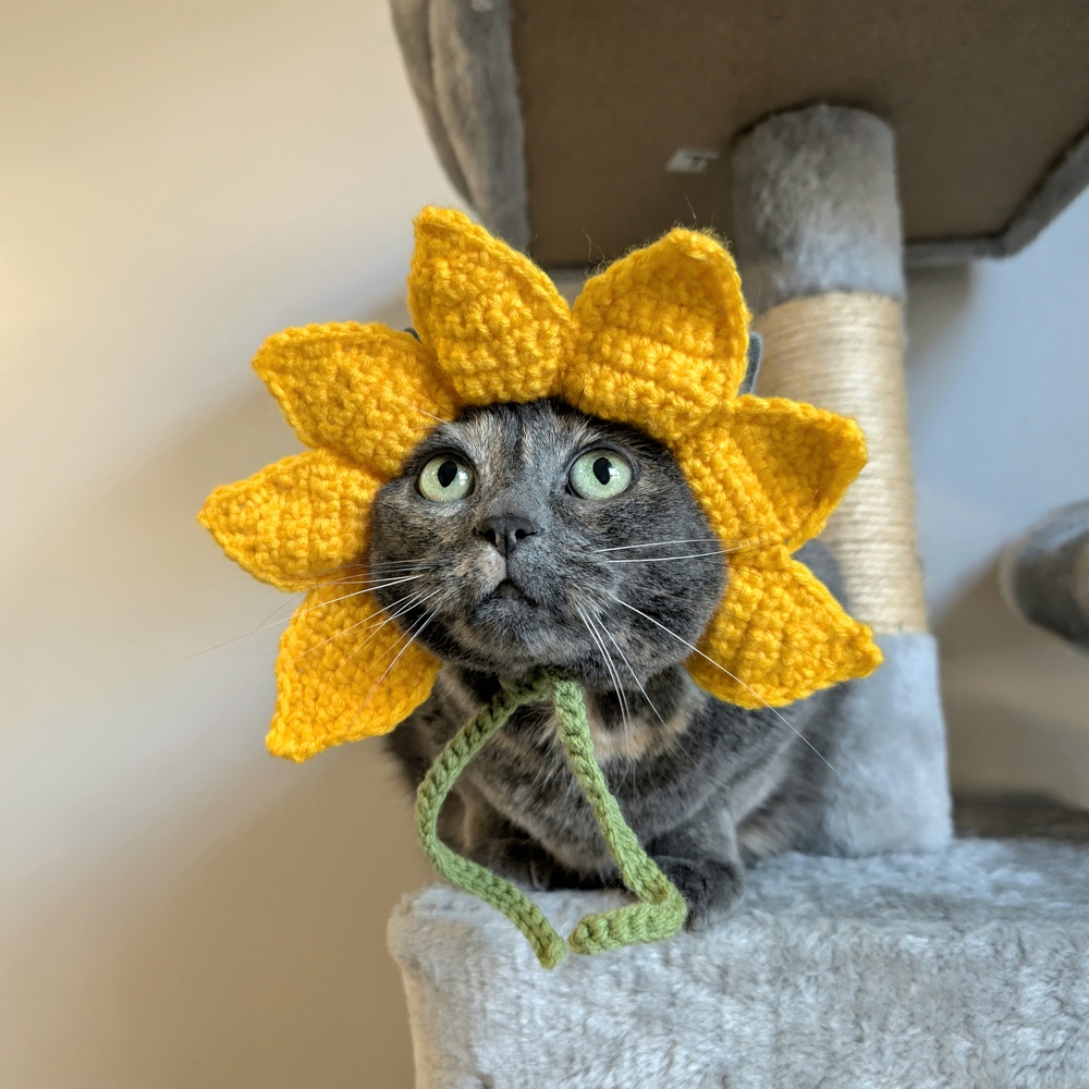 Sunflower Cat Hat - Yellow
